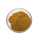 Selenium Enriched hericium erinaceus Powder